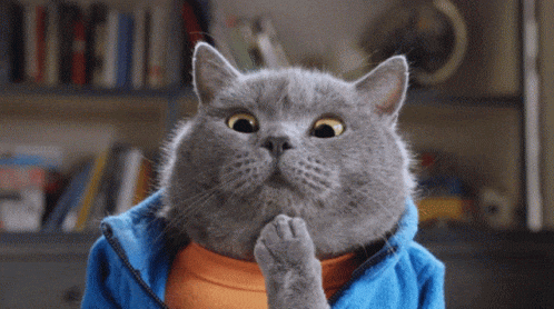 Cat is thinking
