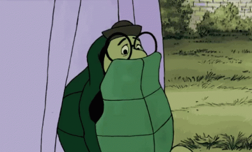 Turtle hiding in its shell