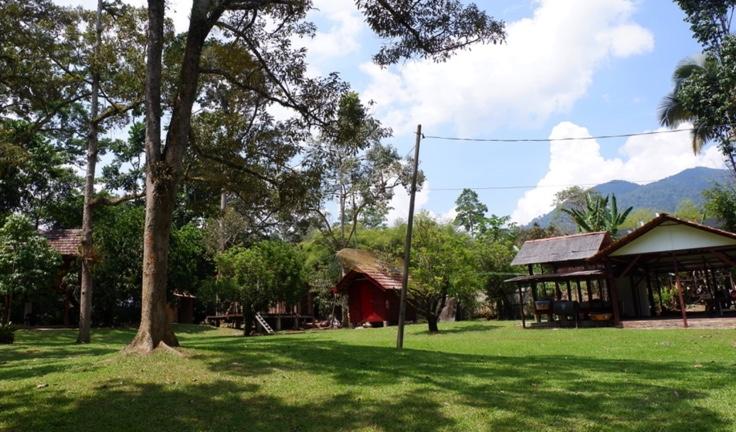 Jungle Zen Janda Baik Camping Grounds