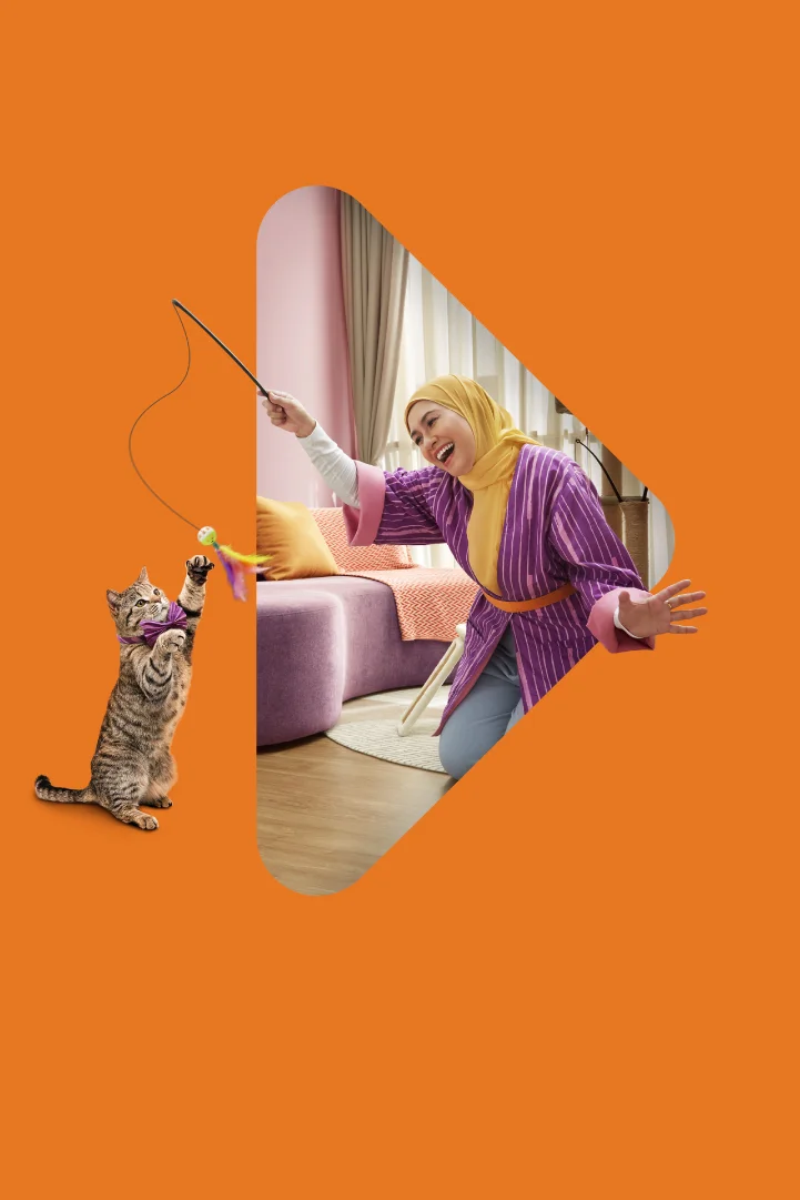 With FWD’s critical illness plans,  all you have to worry about  is keeping your furry pal happy.
