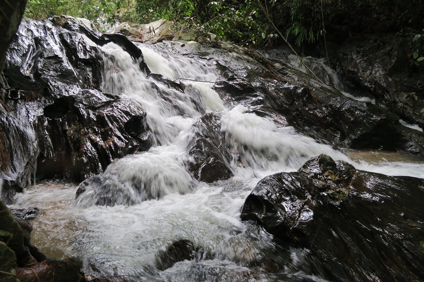Short cascade of foamy water at Templer Park